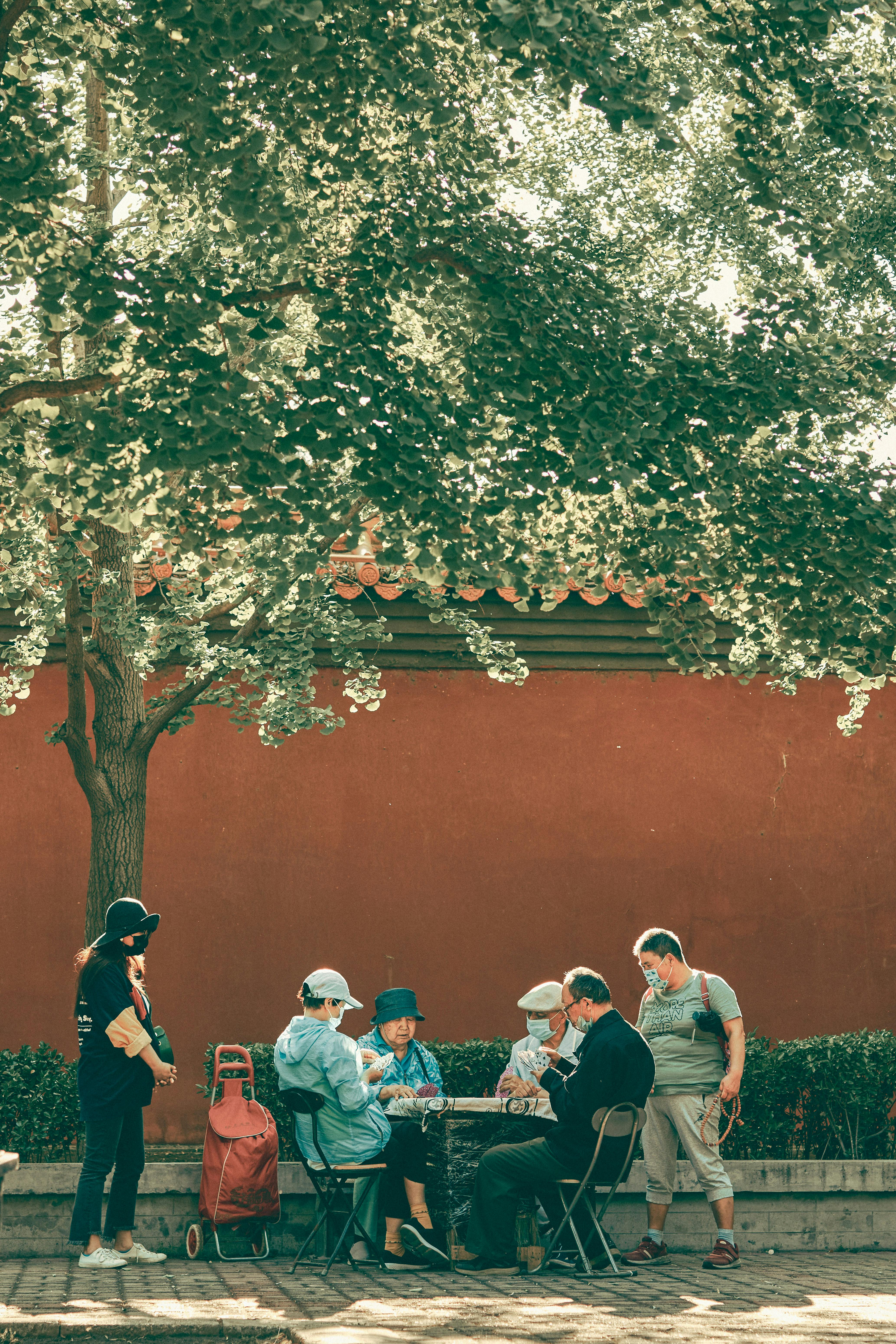 People sitting under a tree playing a game as a group